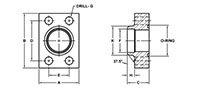 SAE J518 / ISO 6162, O-Ring, BW-40 Pipe, In-Line Flanges - 2