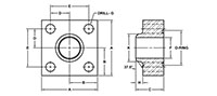 Main Square, O-Ring, BW-160 Pipe, In-Line Flanges - 2