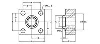 Main Square, O-Ring, BW-40 Pipe, In-Line Flanges - 2